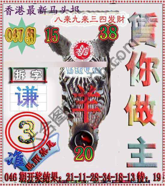 香港马头报