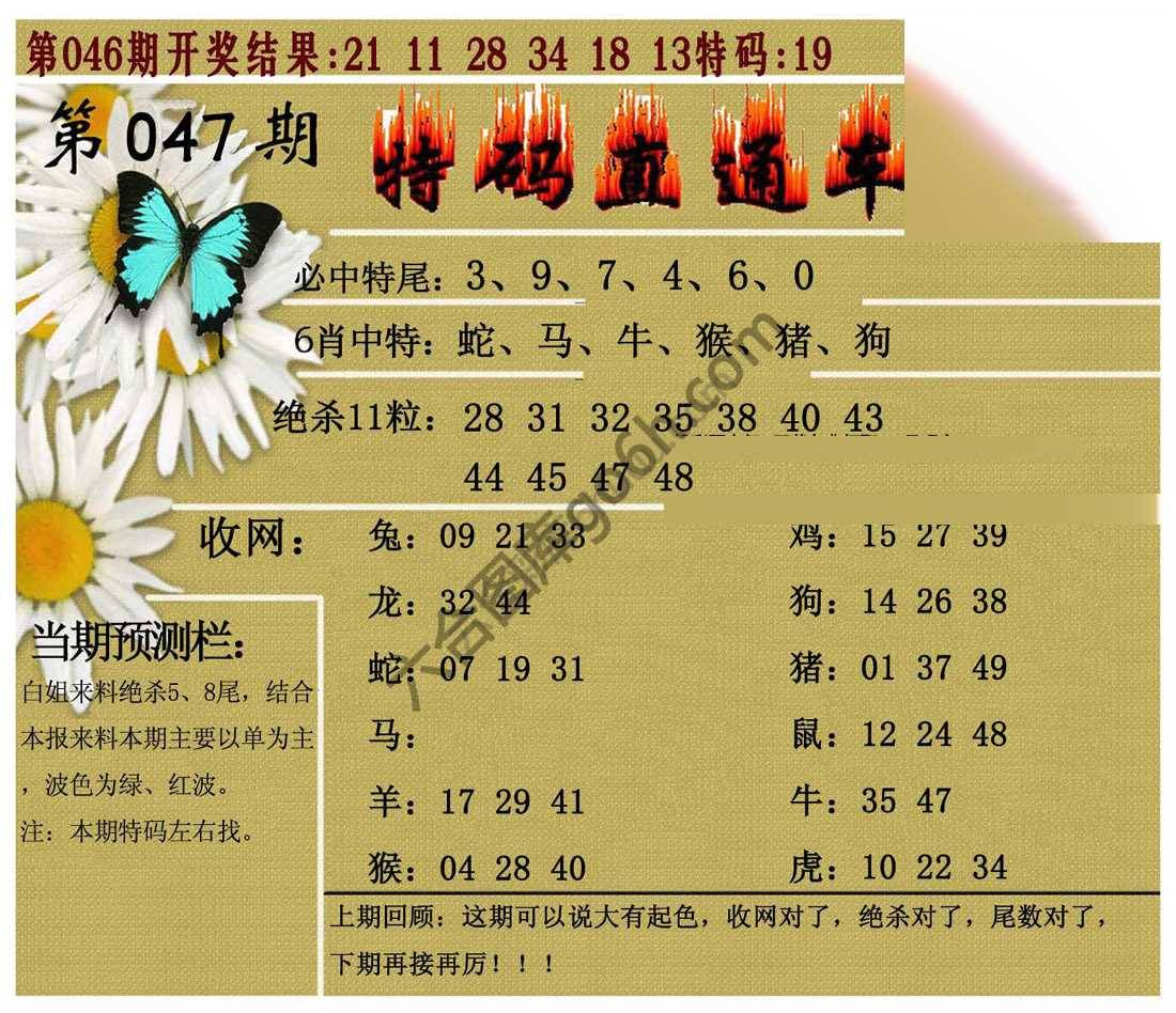 特码直通车