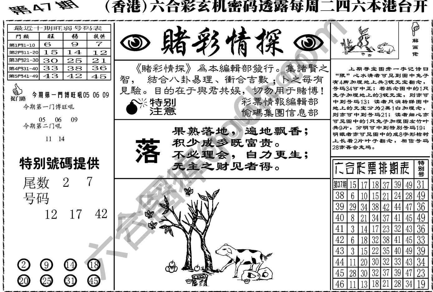 赌彩情探