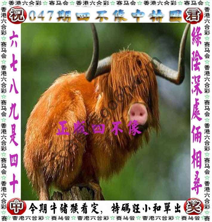 四不像中特图