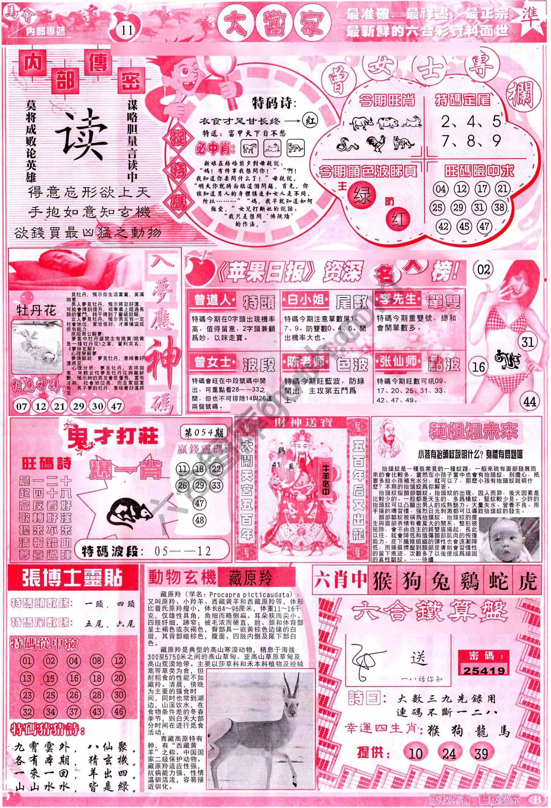 大当家