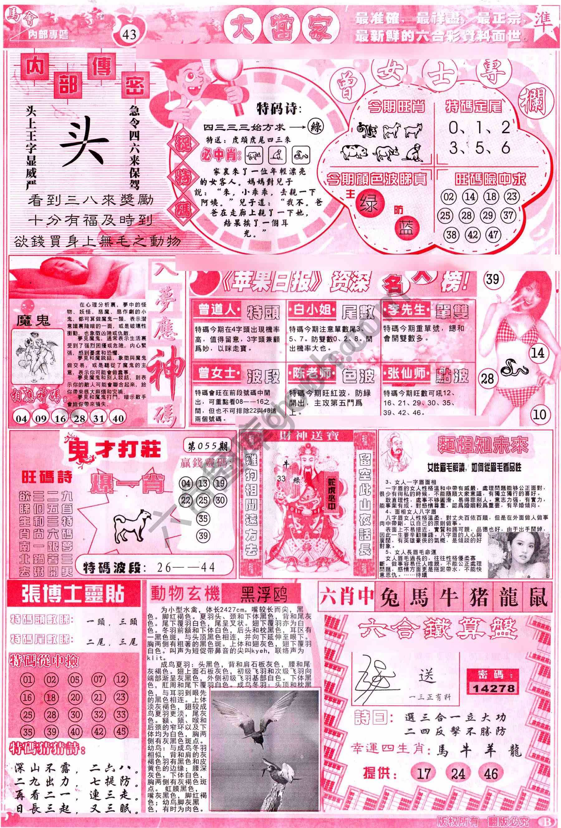 大当家
