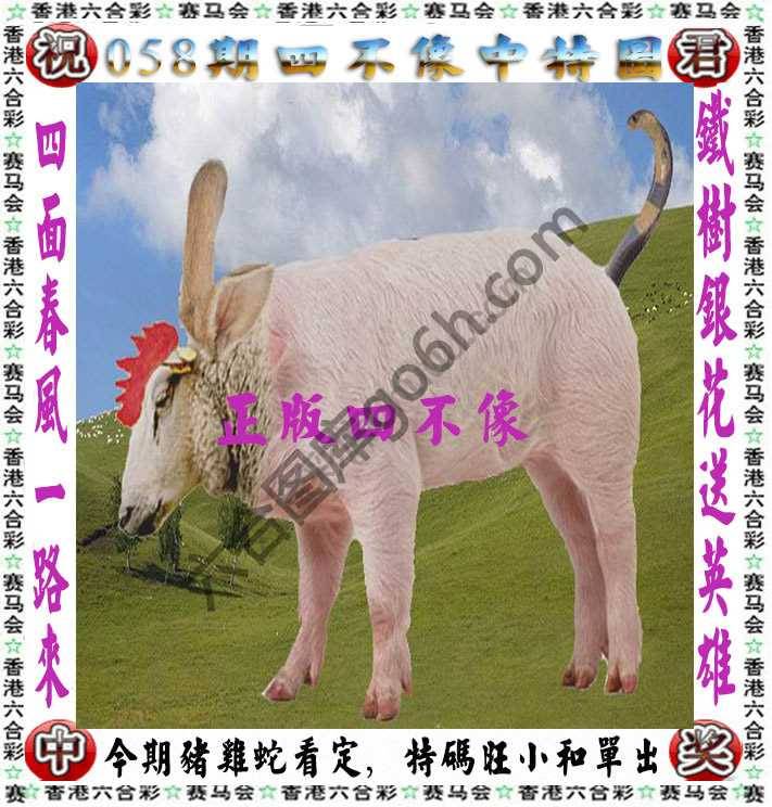 四不像中特图