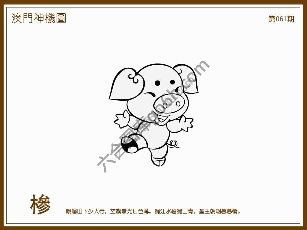 澳门神机图