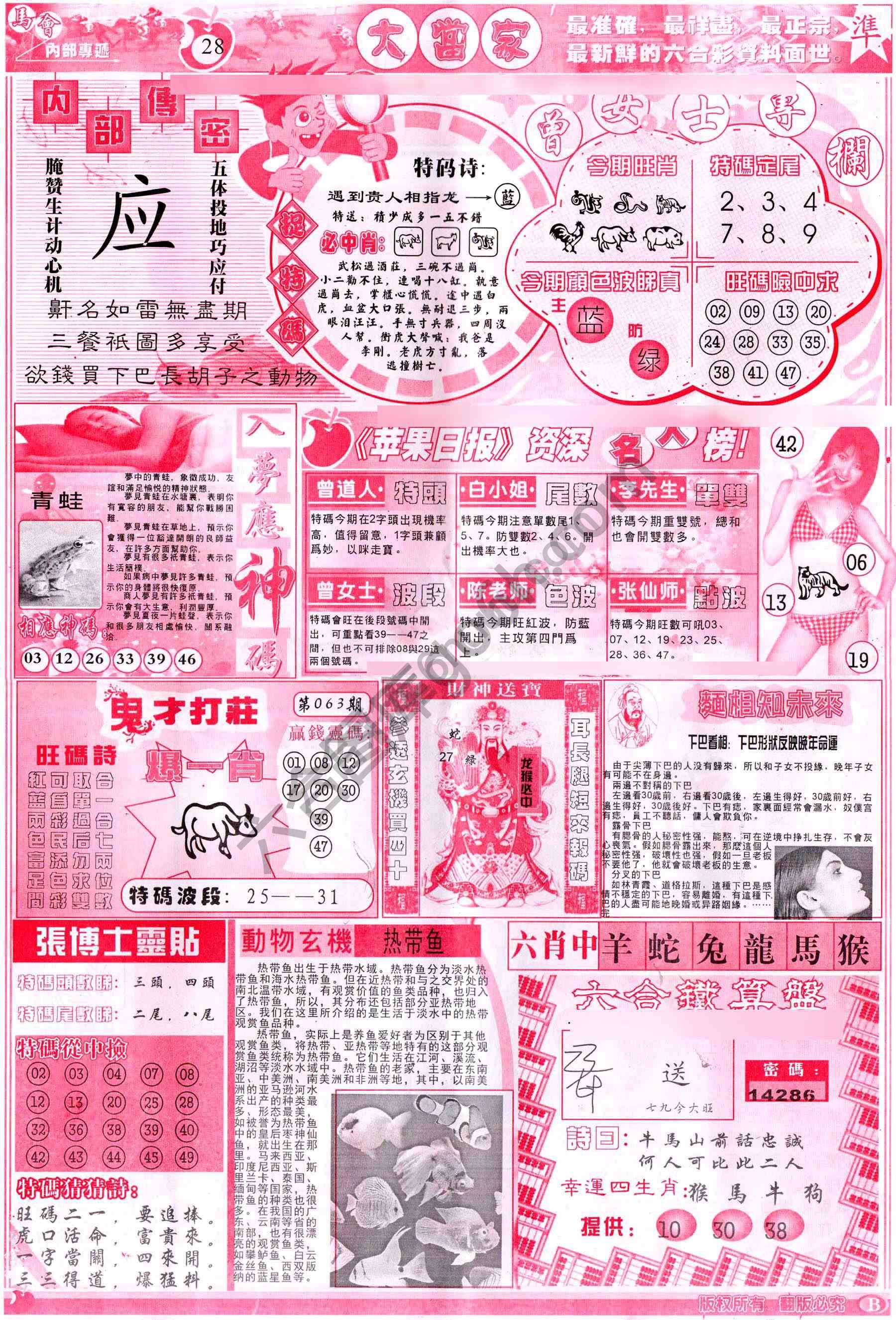 大当家