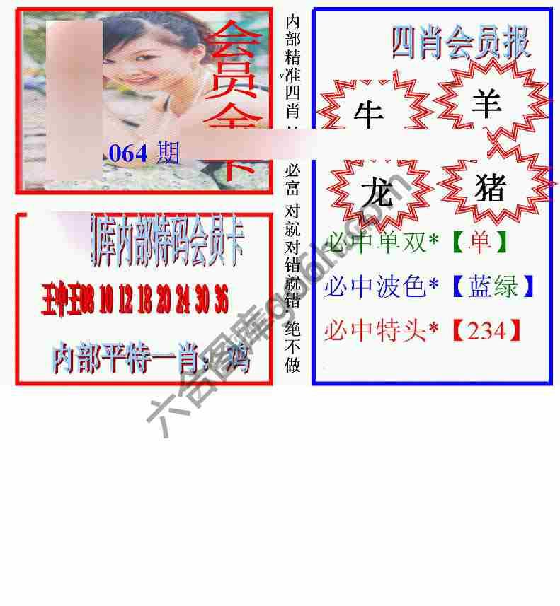 马经四肖会员报