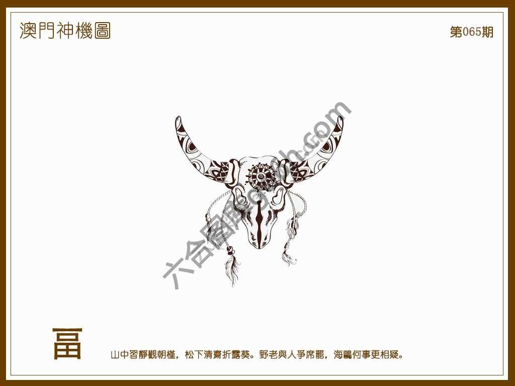 澳门神机图