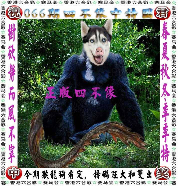 四不像中特图