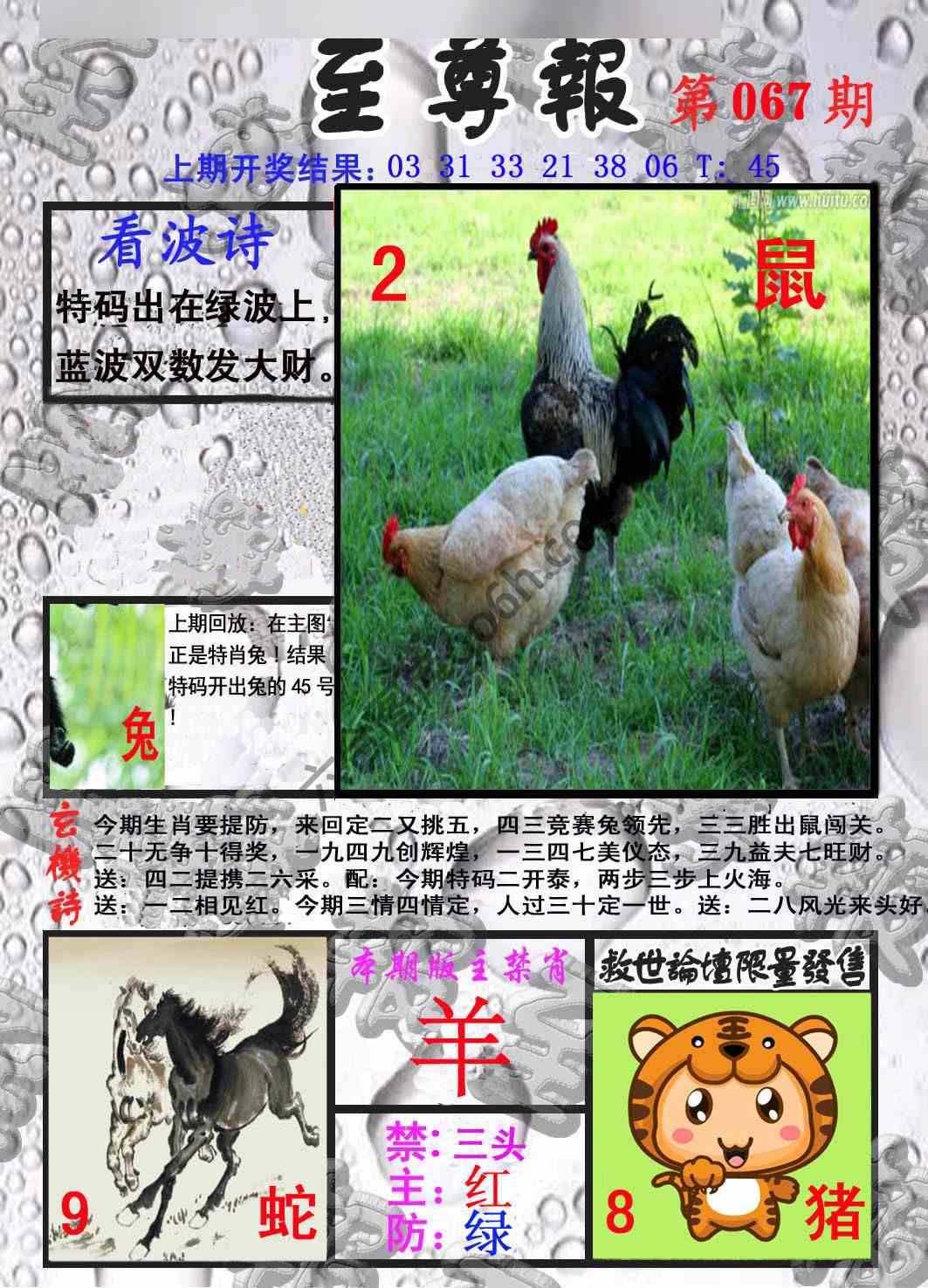 至尊报
