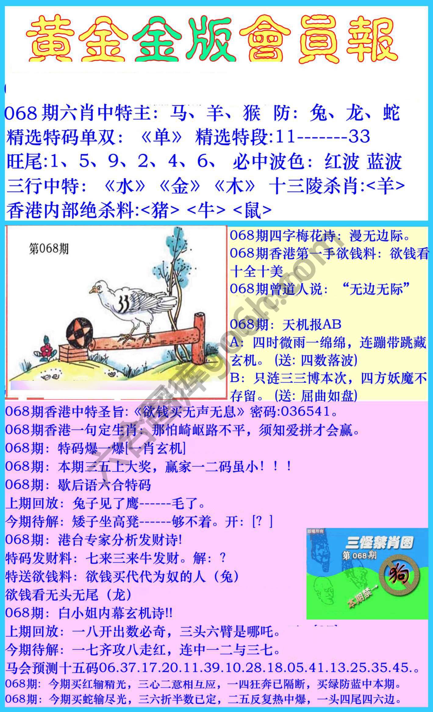 黄金金版会员报