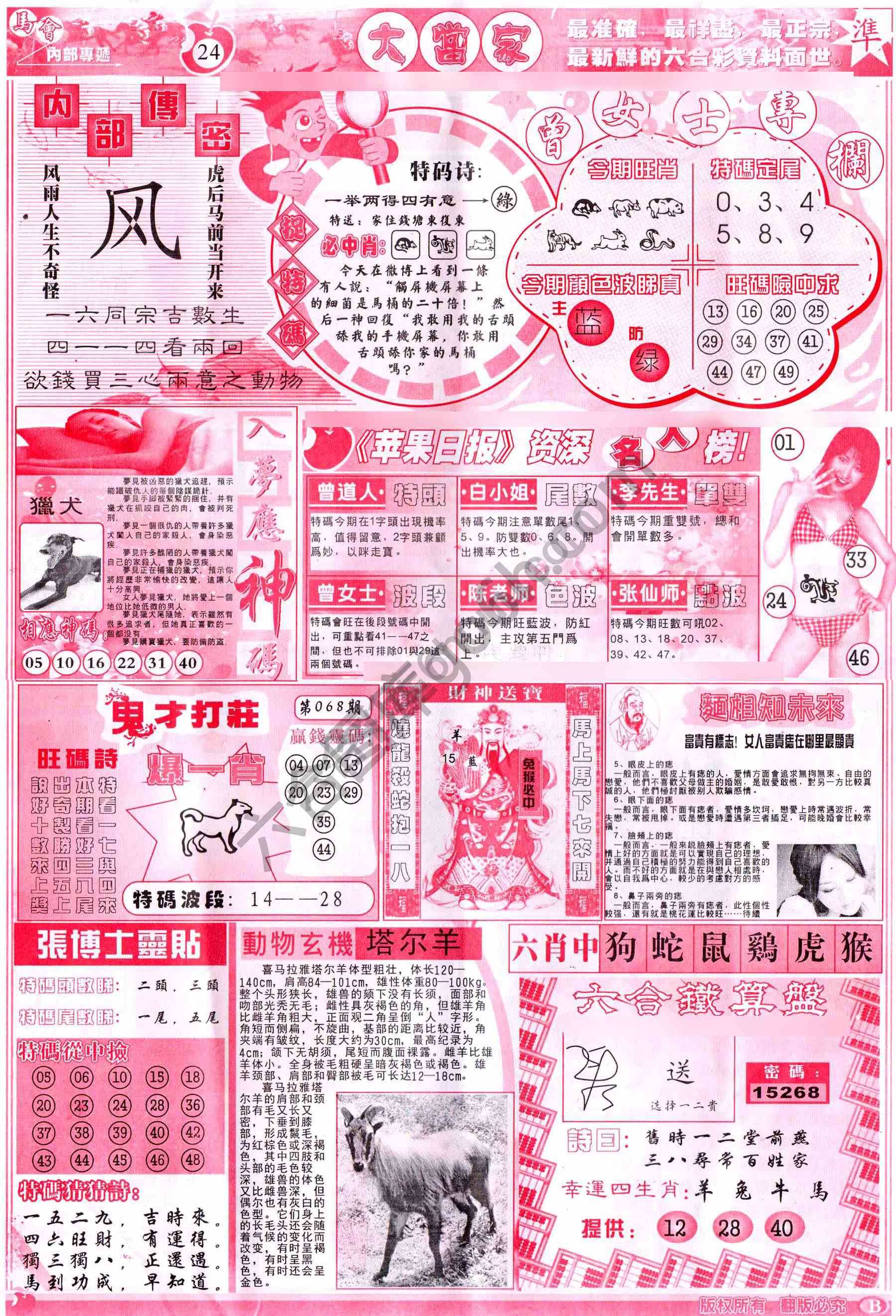 大当家