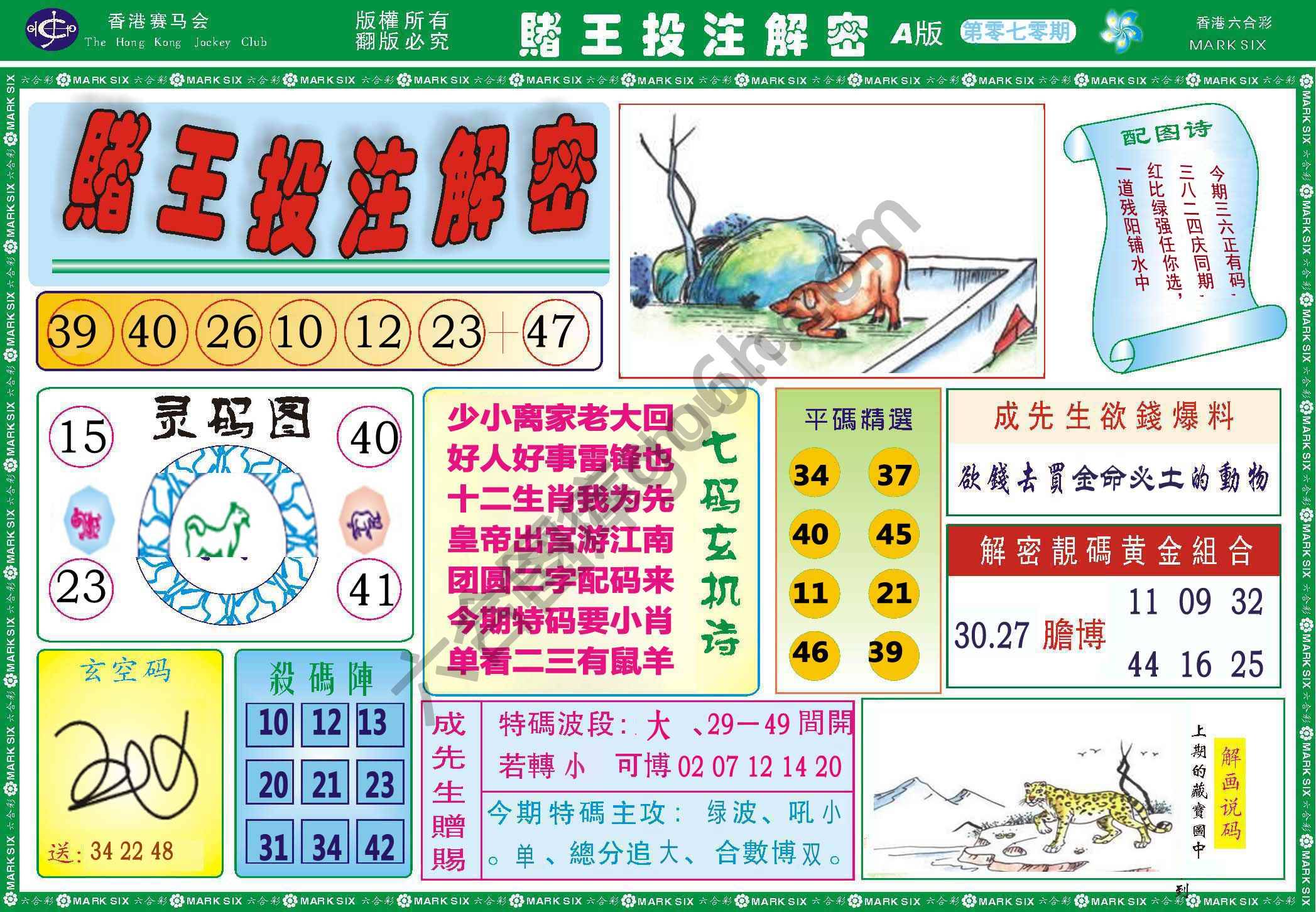 赌王投注解密