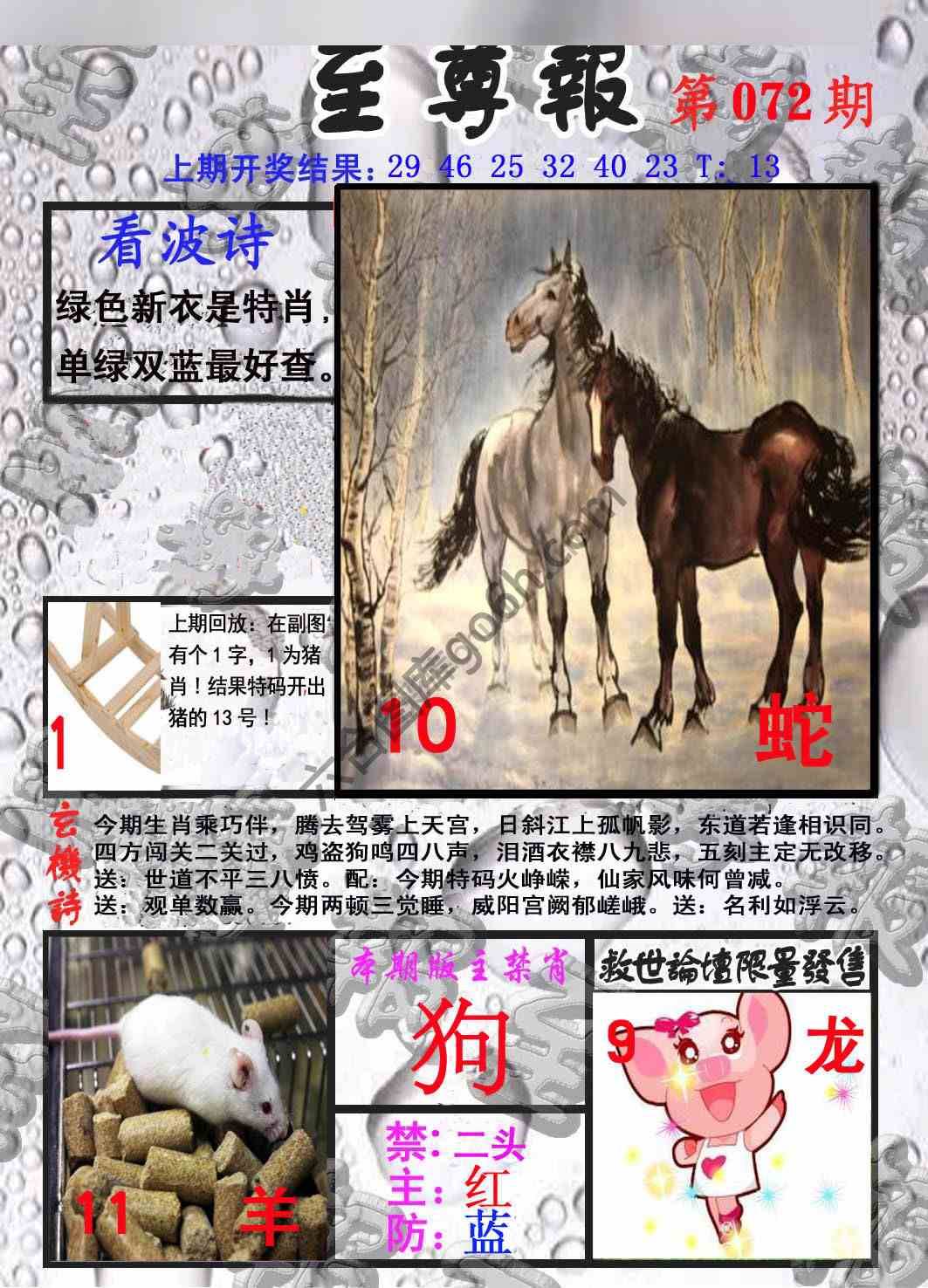 至尊报