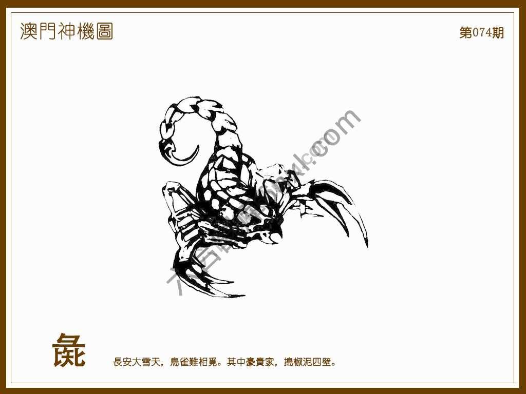 澳门神机图