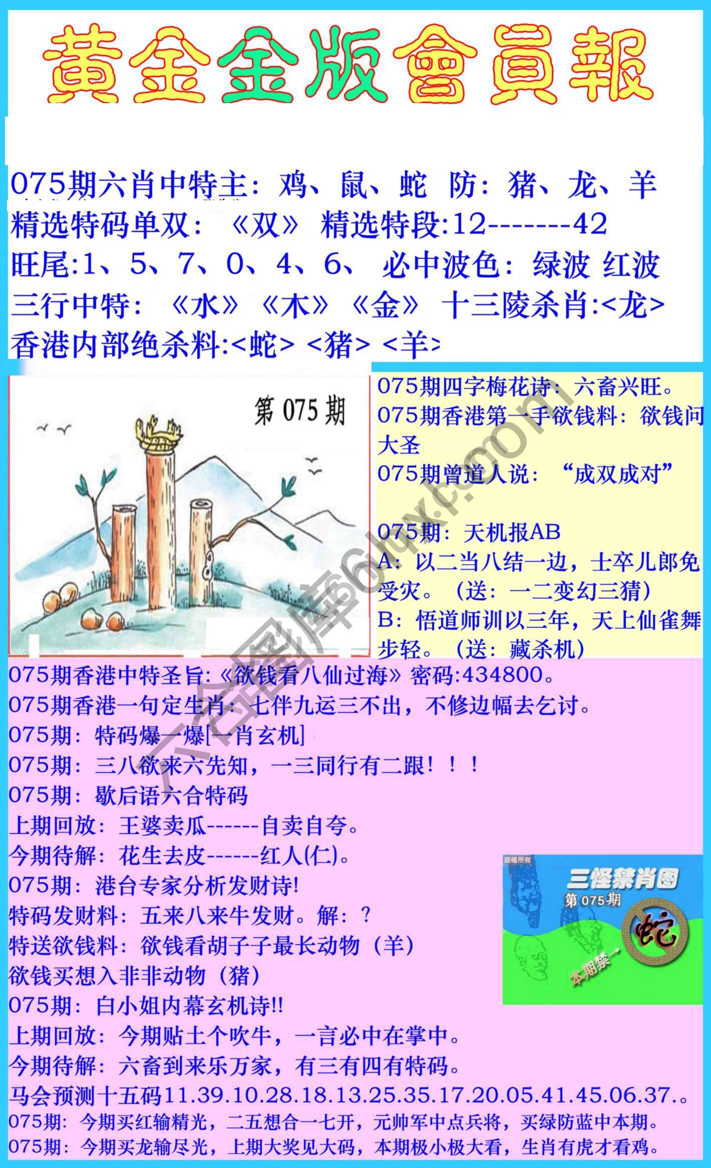 黄金金版会员报