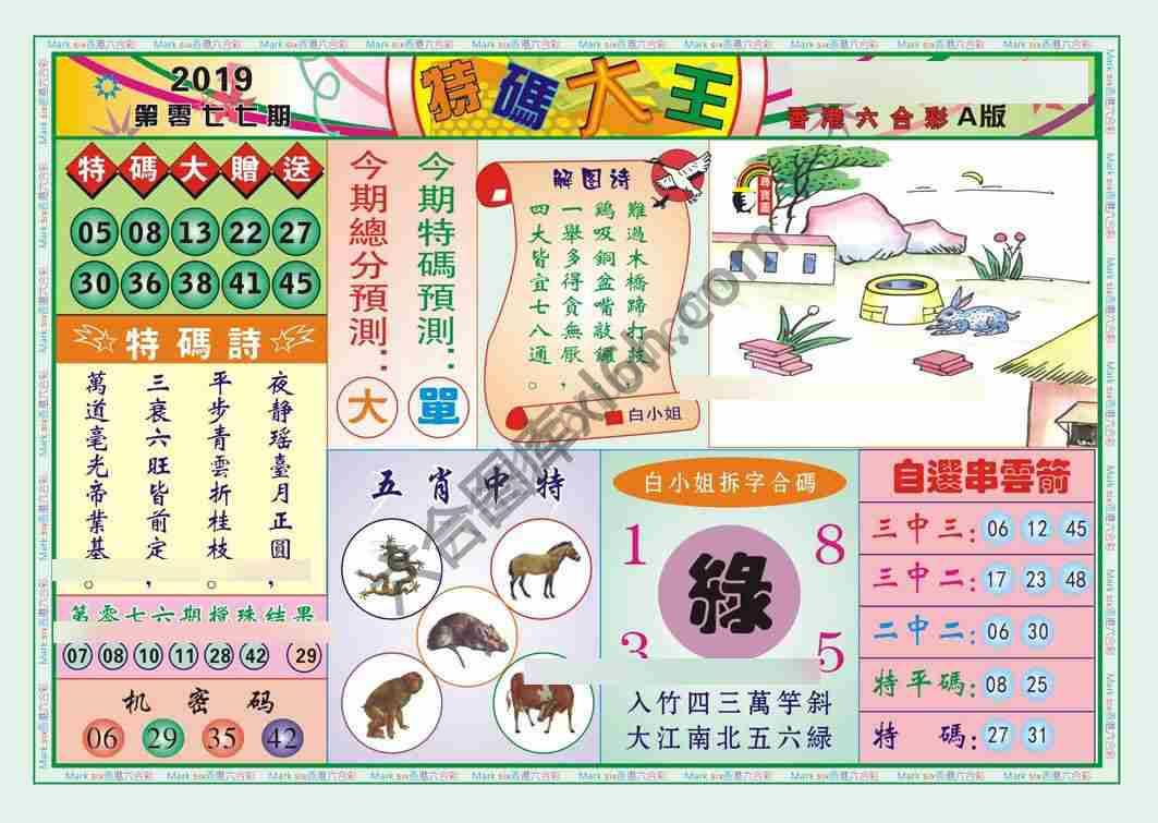 特码大王