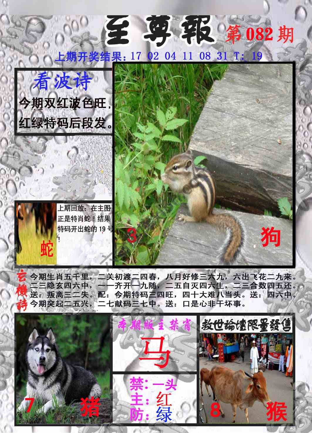 至尊报