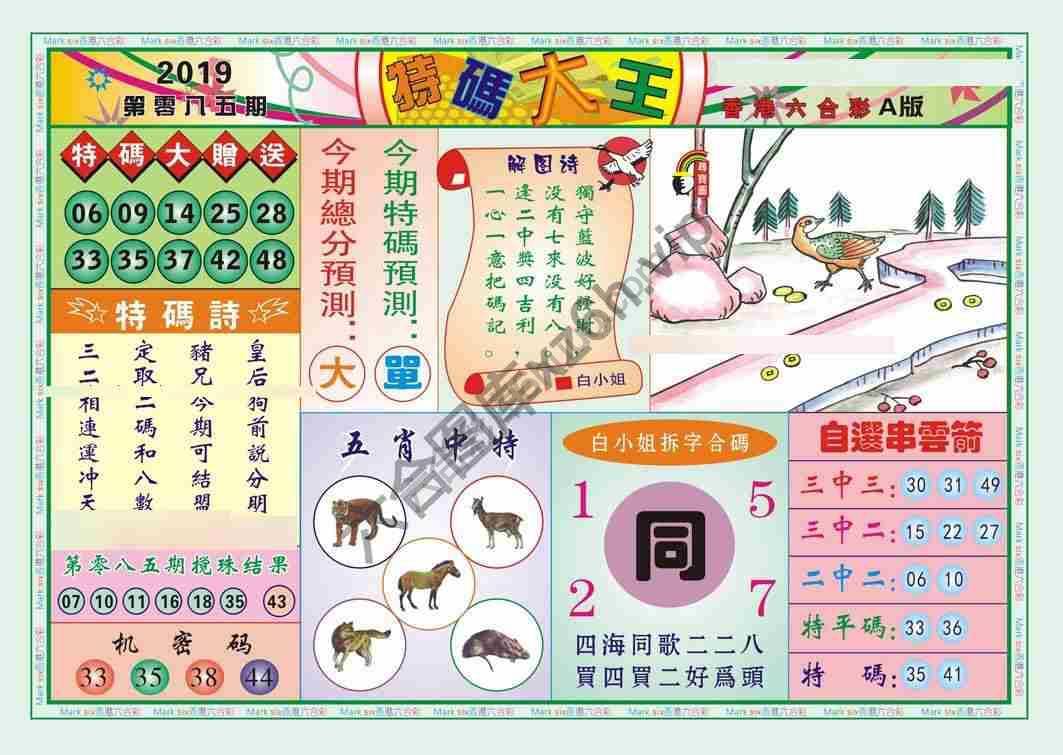 特码大王