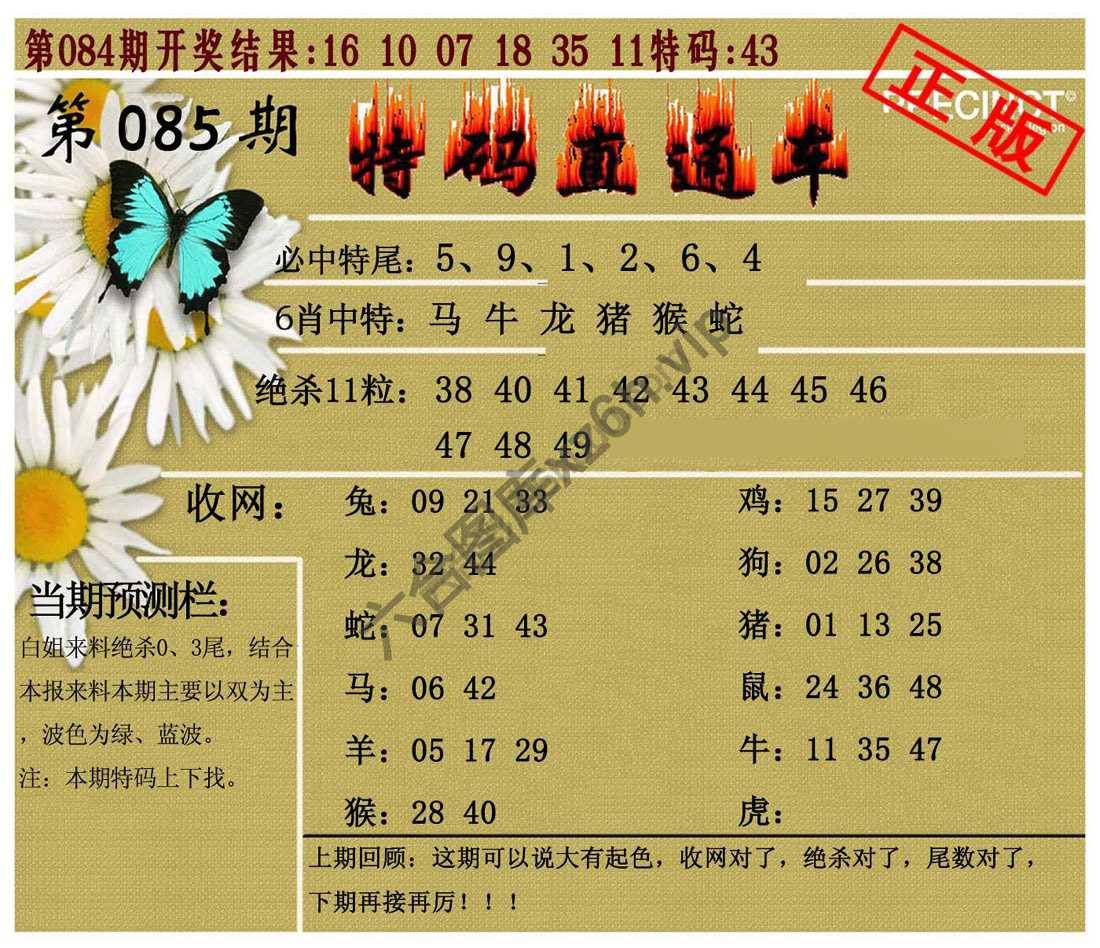 特码直通车