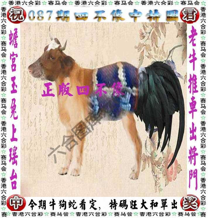 四不像中特图