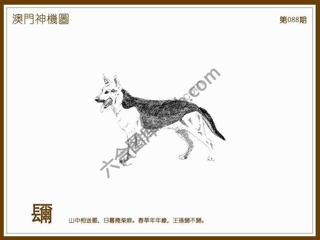 澳门神机图