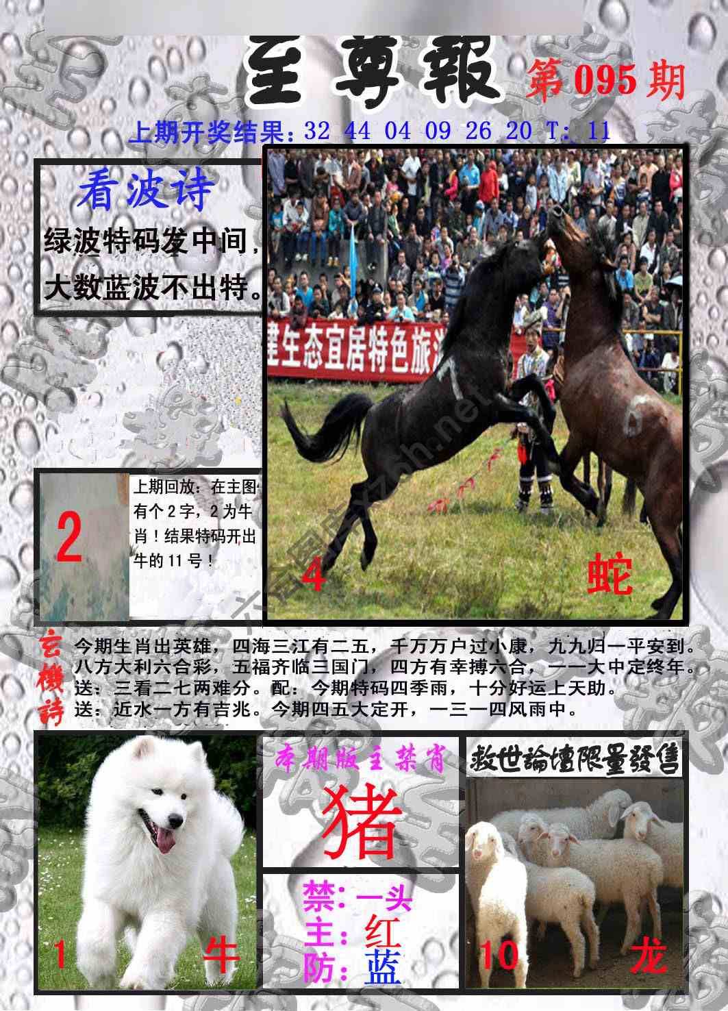 至尊报