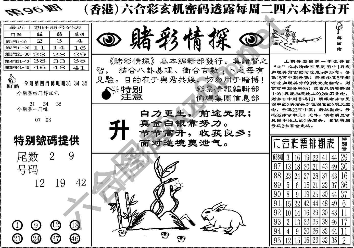 赌彩情探