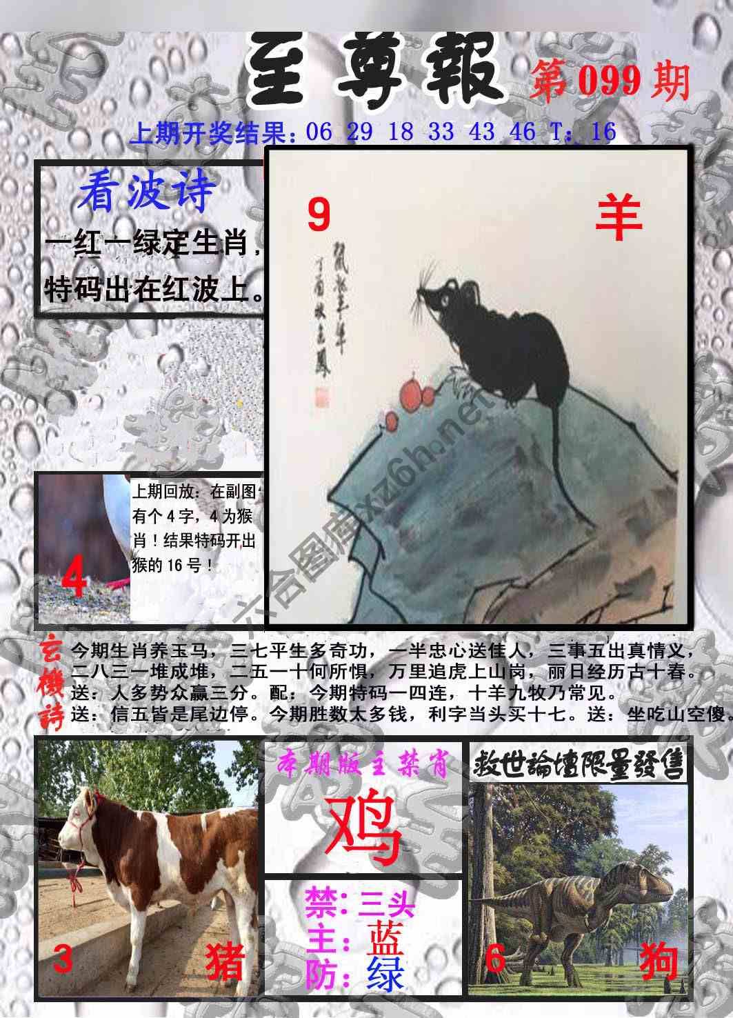 至尊报