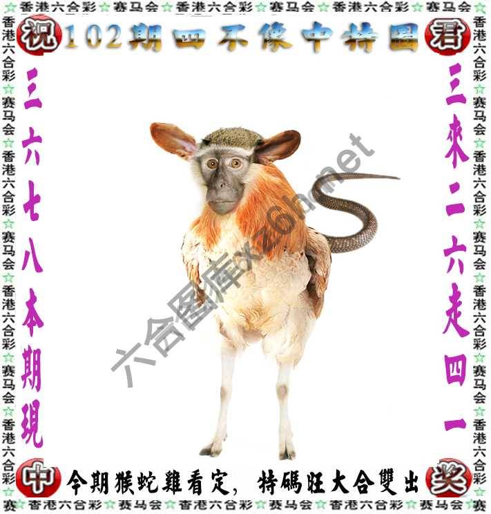 四不像中特图