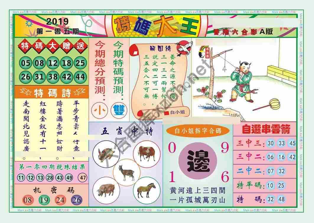 特码大王