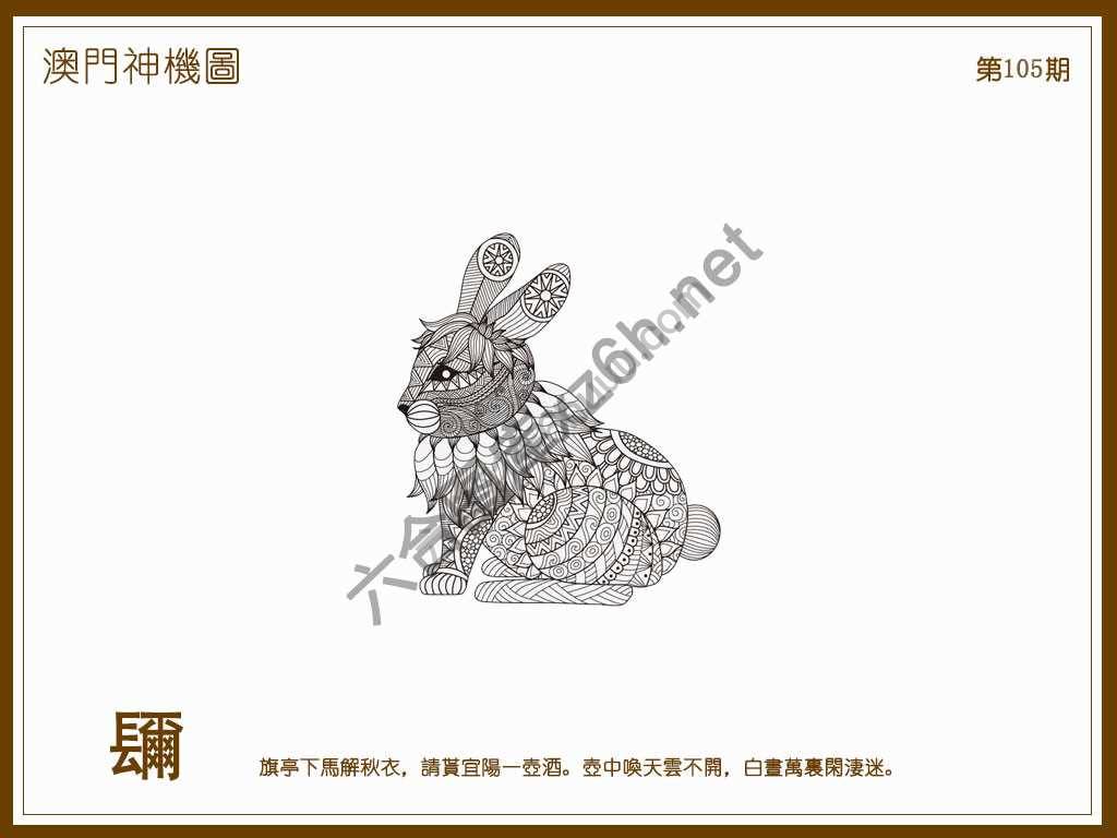 澳门神机图