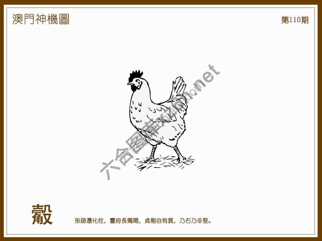 澳门神机图