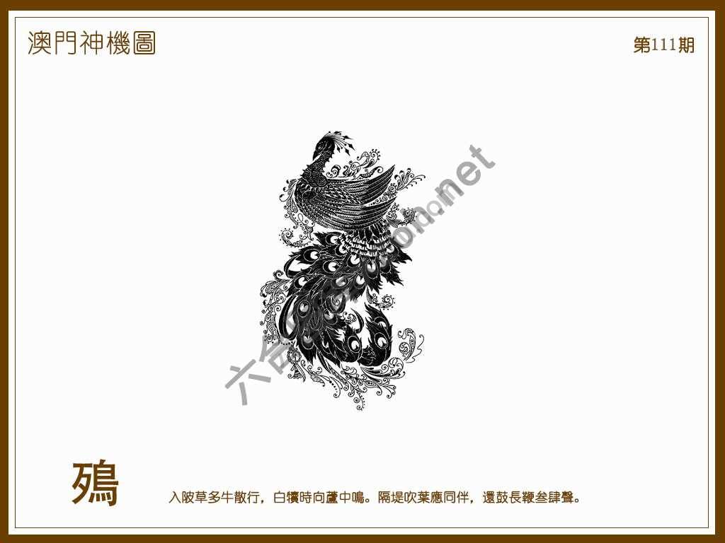 澳门神机图