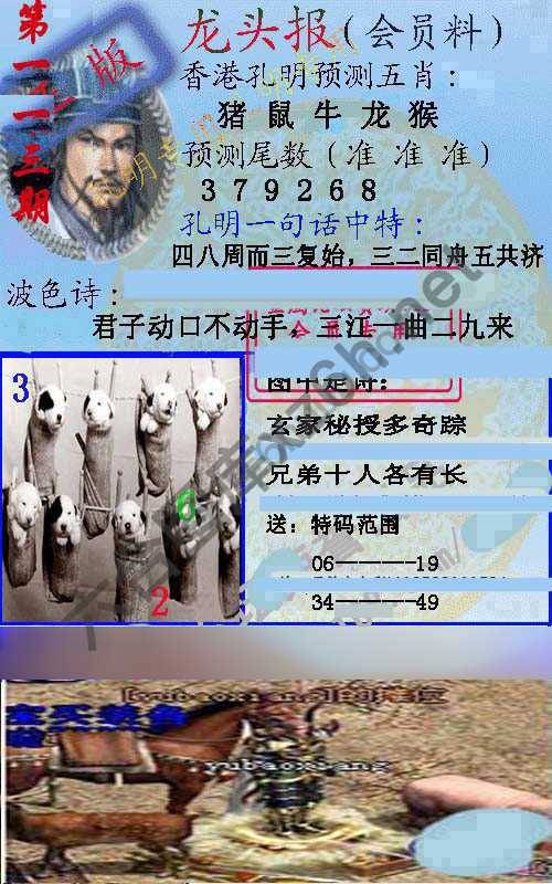 龙头报