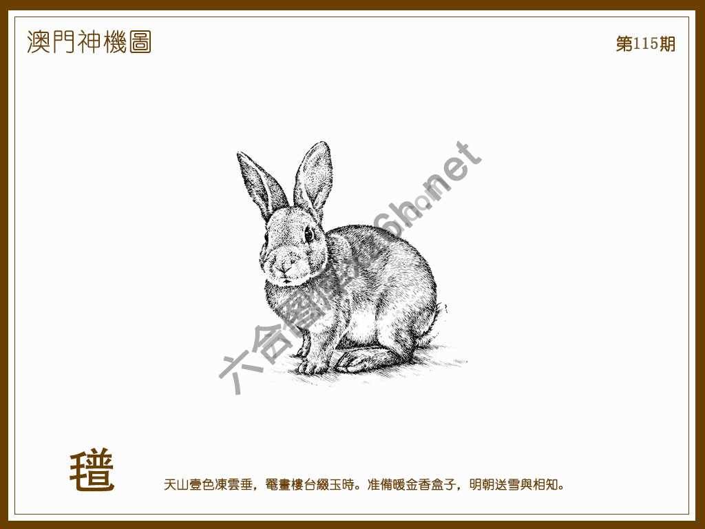 澳门神机图
