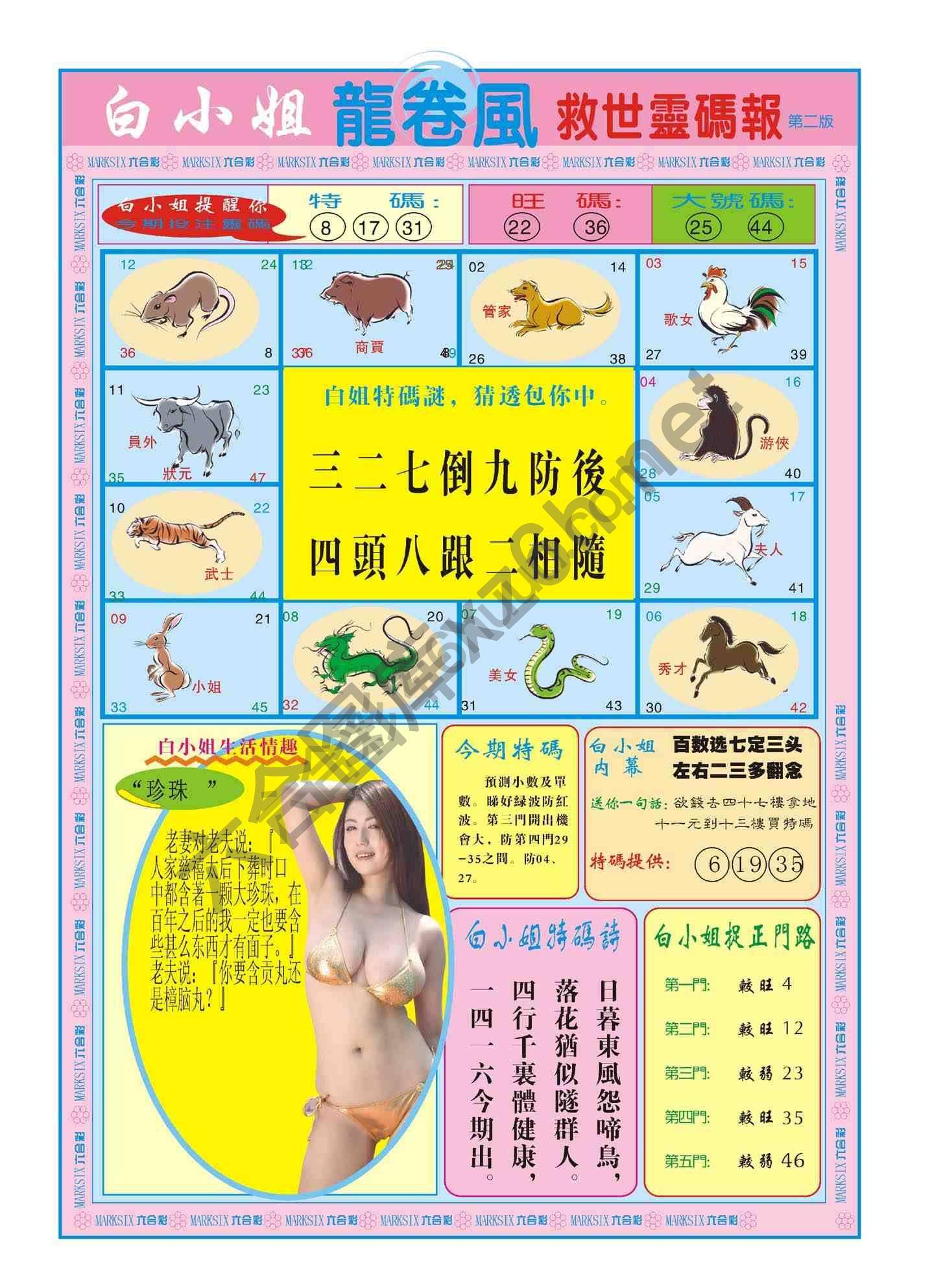 白小姐救世灵码报