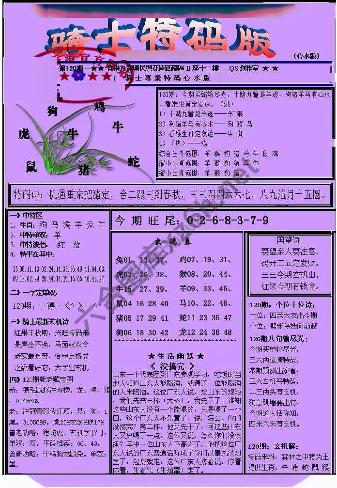 另类骑士特码版