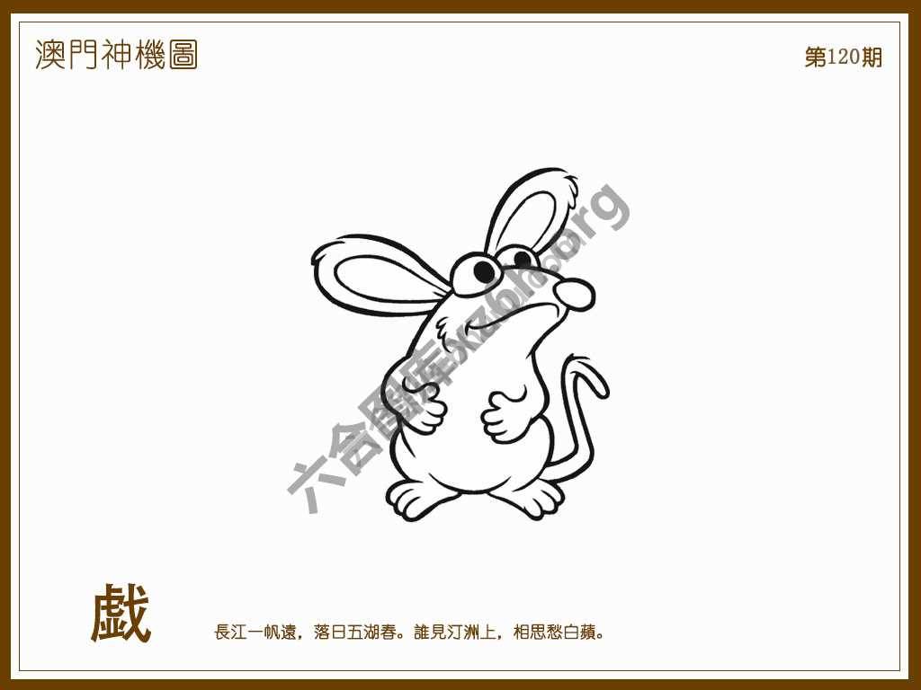 澳门神机图
