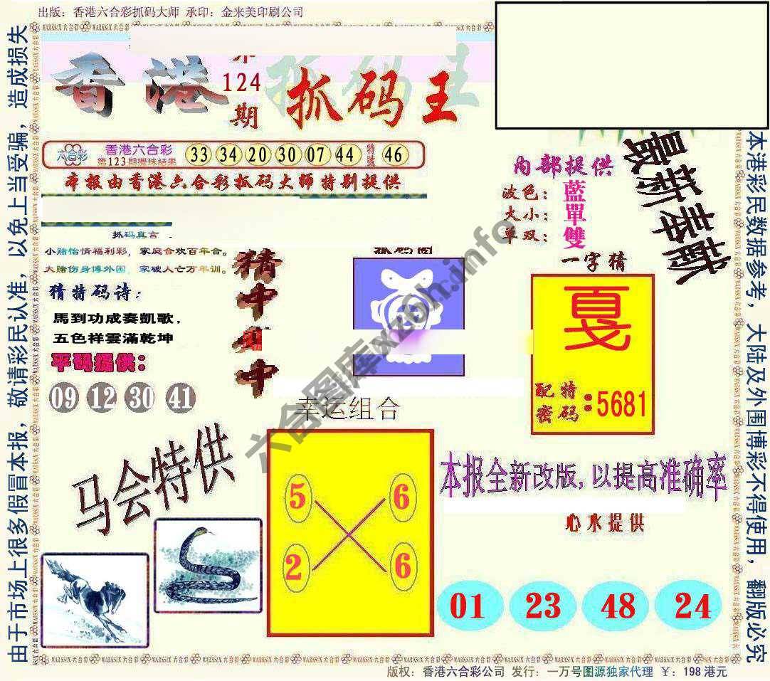 新抓码王