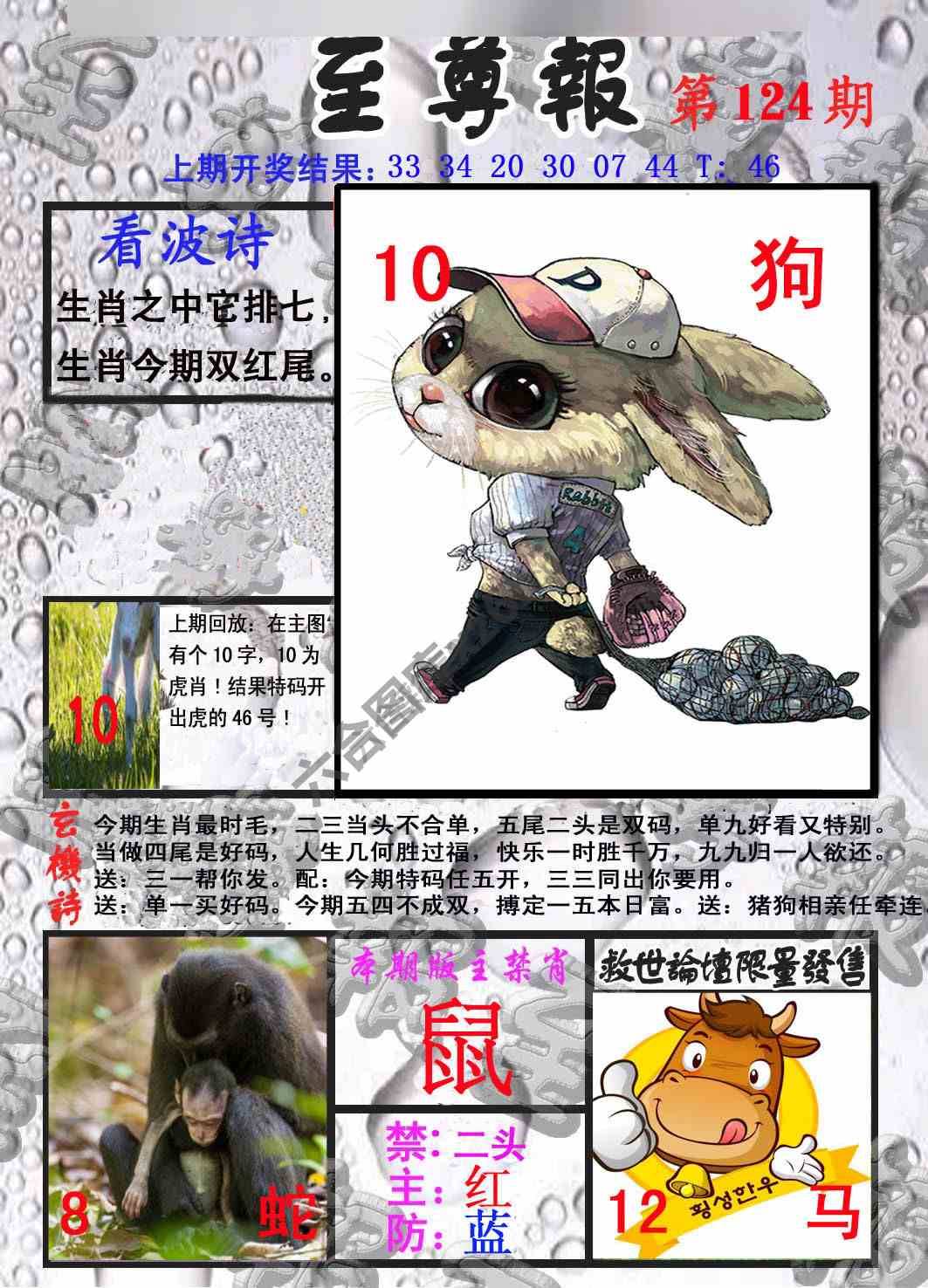 至尊报