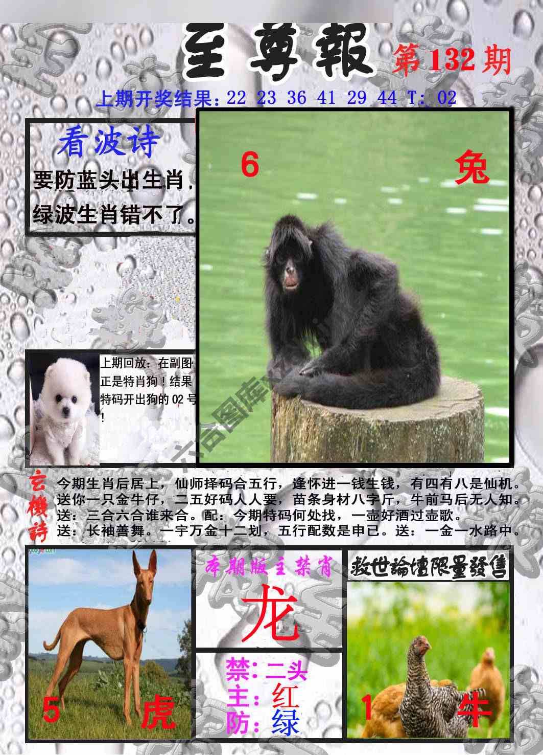 至尊报