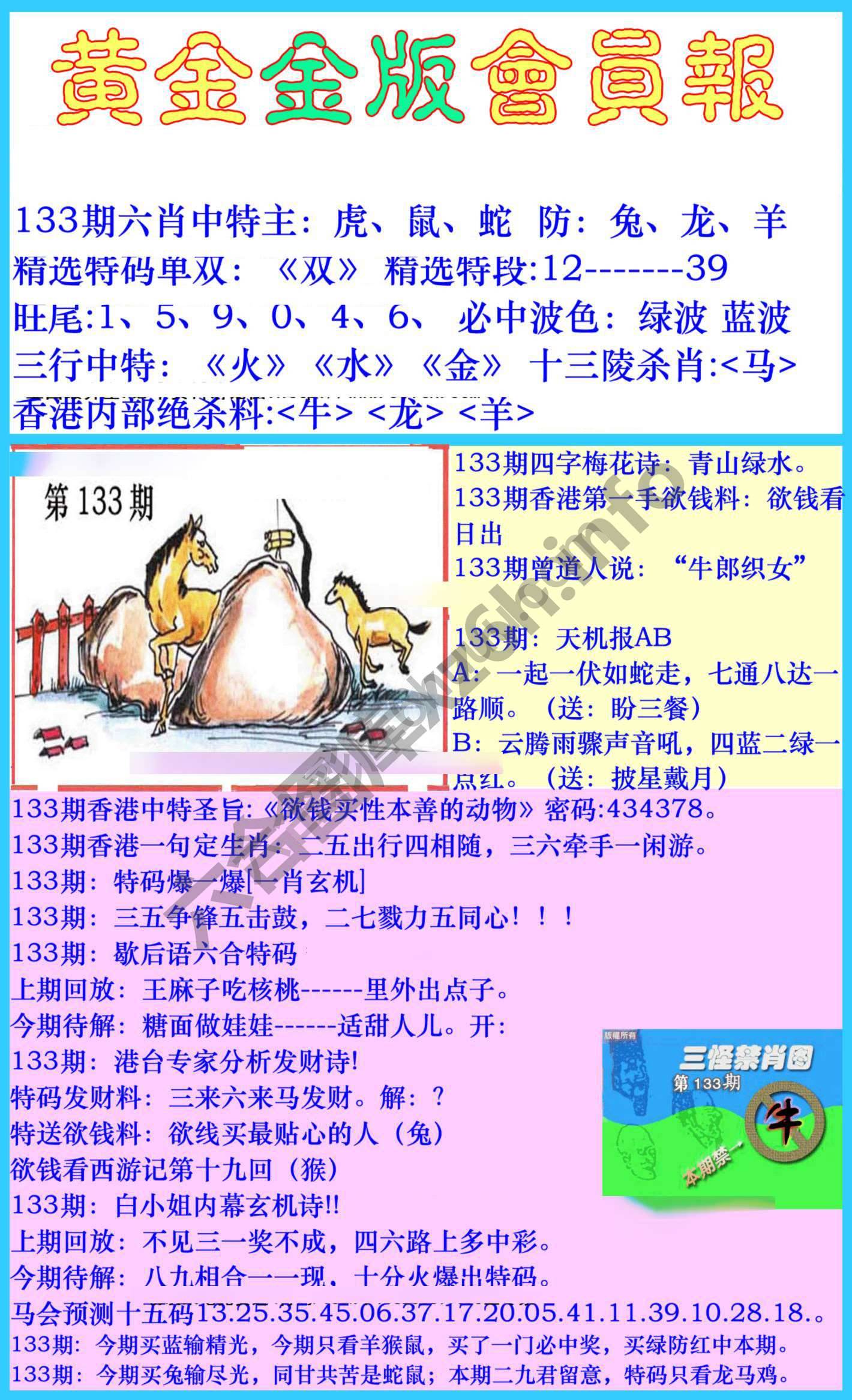 黄金金版会员报