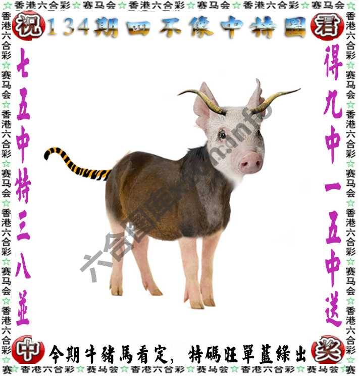 四不像中特图