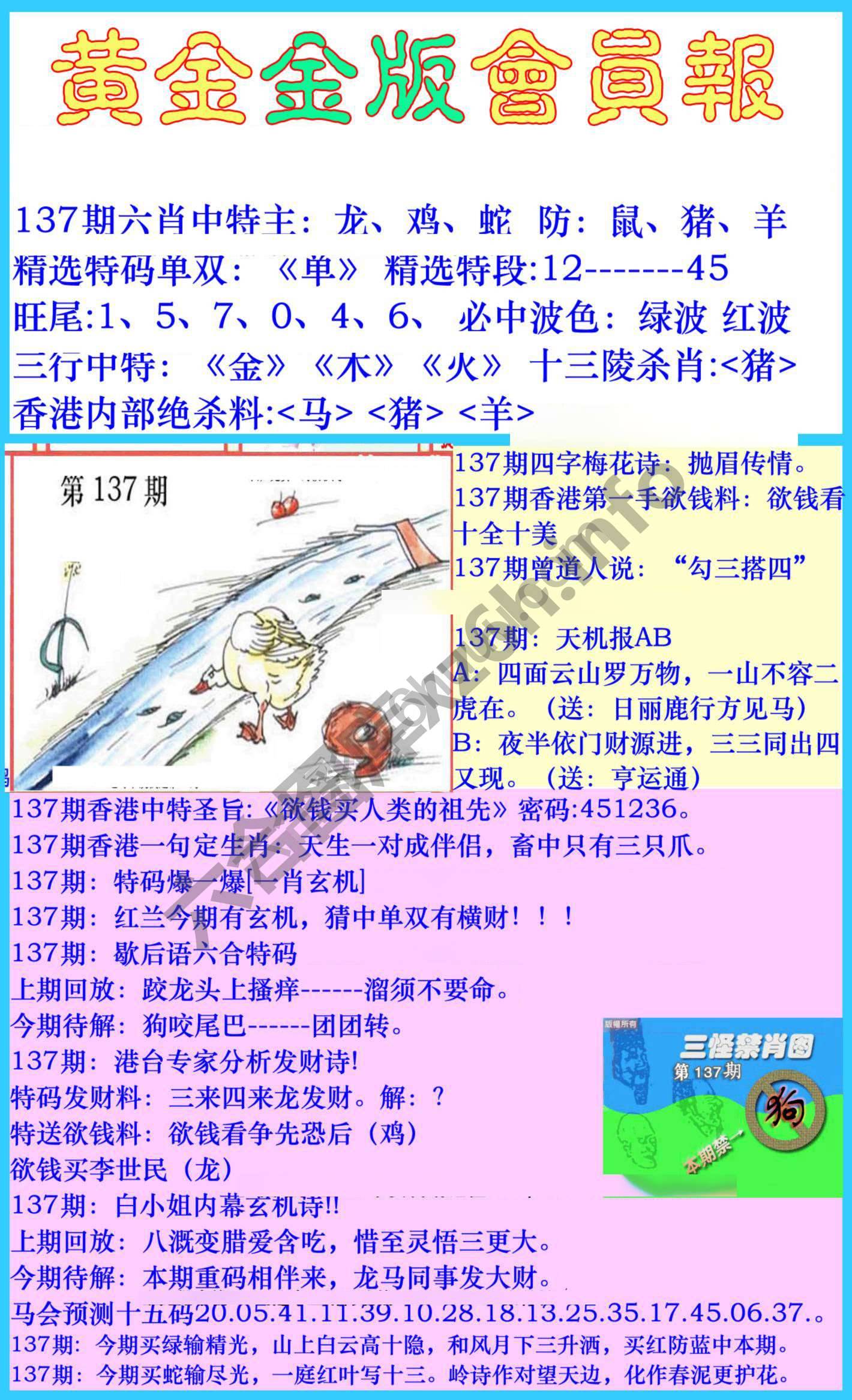 黄金金版会员报