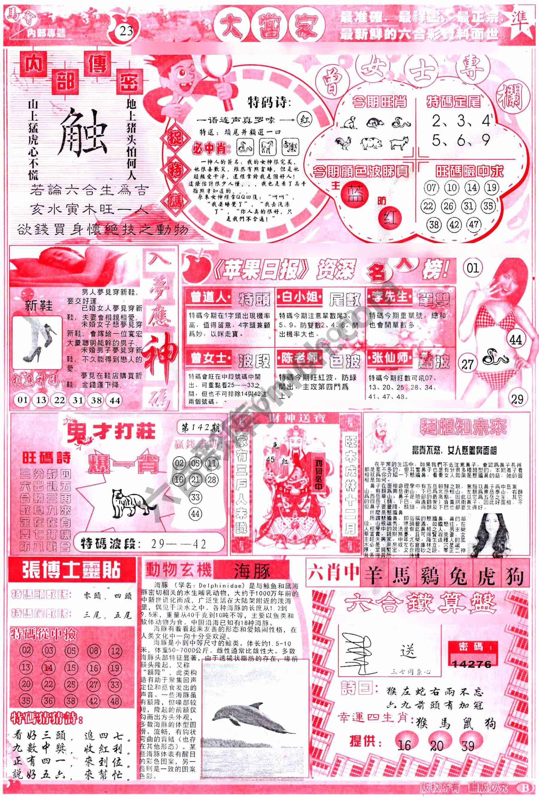 大当家