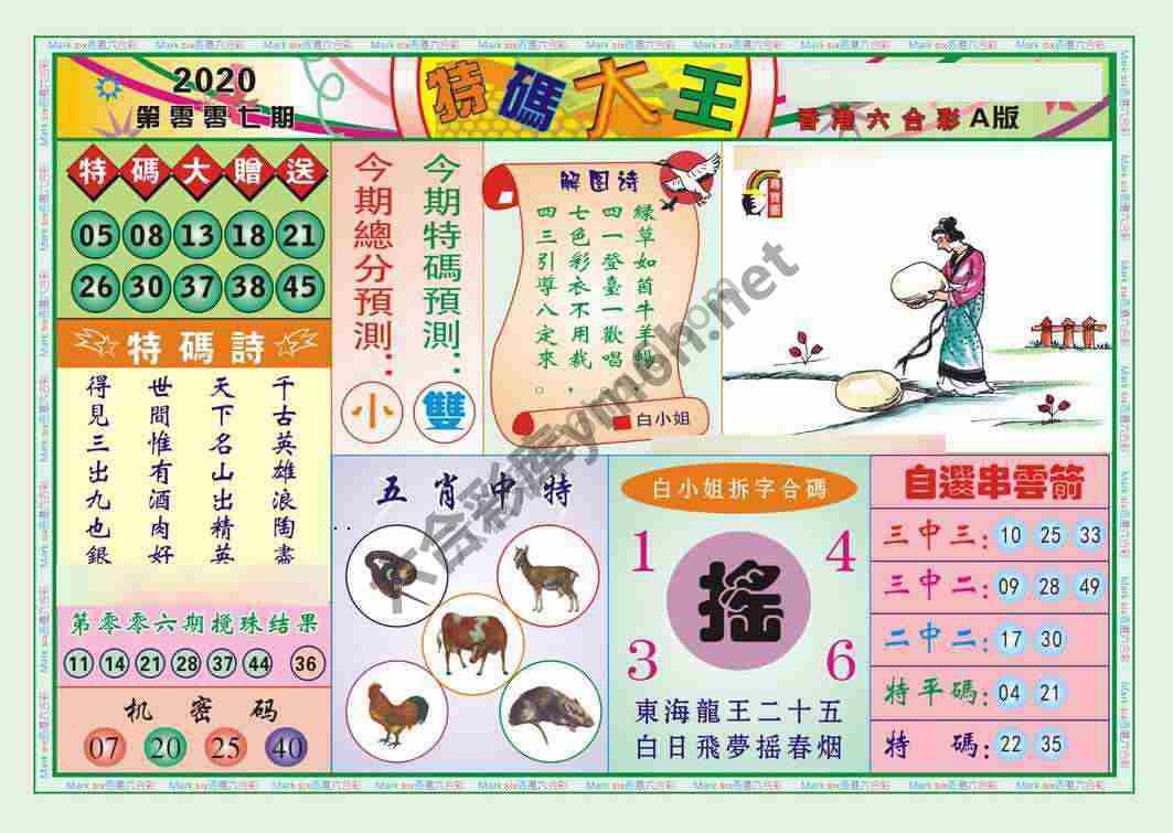 特码大王