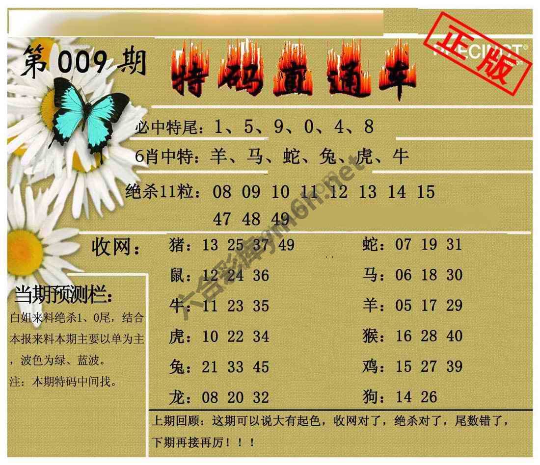 特码直通车