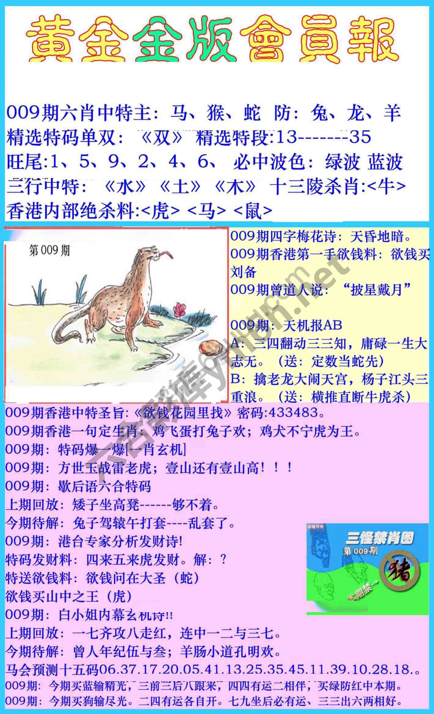 黄金金版会员报
