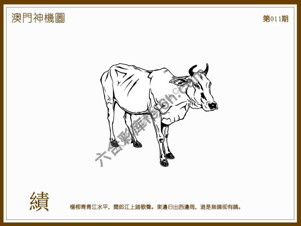 澳门神机图