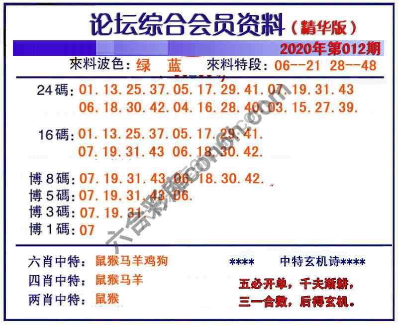 综合会员资料